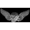 SKULL WINGS SILVER LARGE PIN